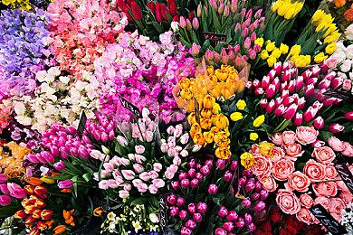 黑暗童话类银恶新作《琳：最终之子》9＆21推出